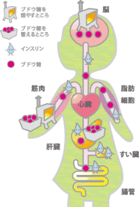 代替画像