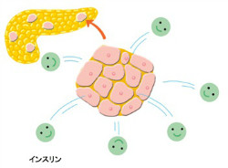 食事や運動、薬剤などによる治療